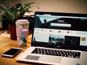 Web developer