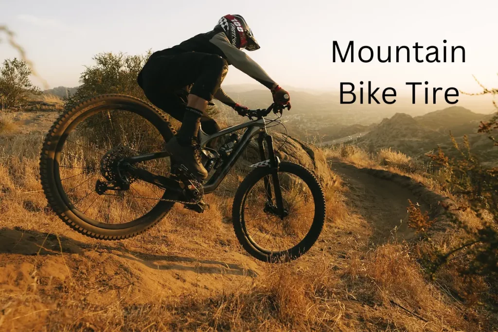10 Best Mountain Bike Tire Brands