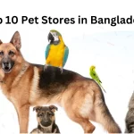 Top 10 Pet Stores in Bangladesh