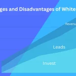 Advantages and Disadvantages of White Hat SEO