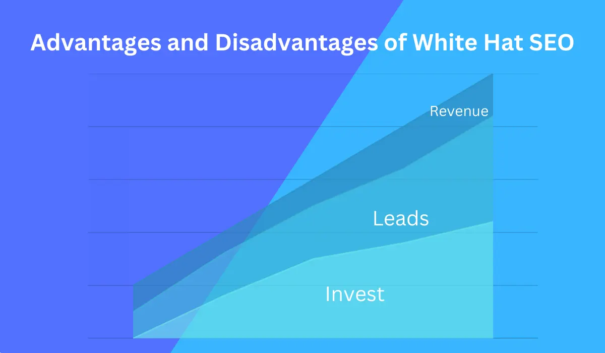Advantages and Disadvantages of White Hat SEO