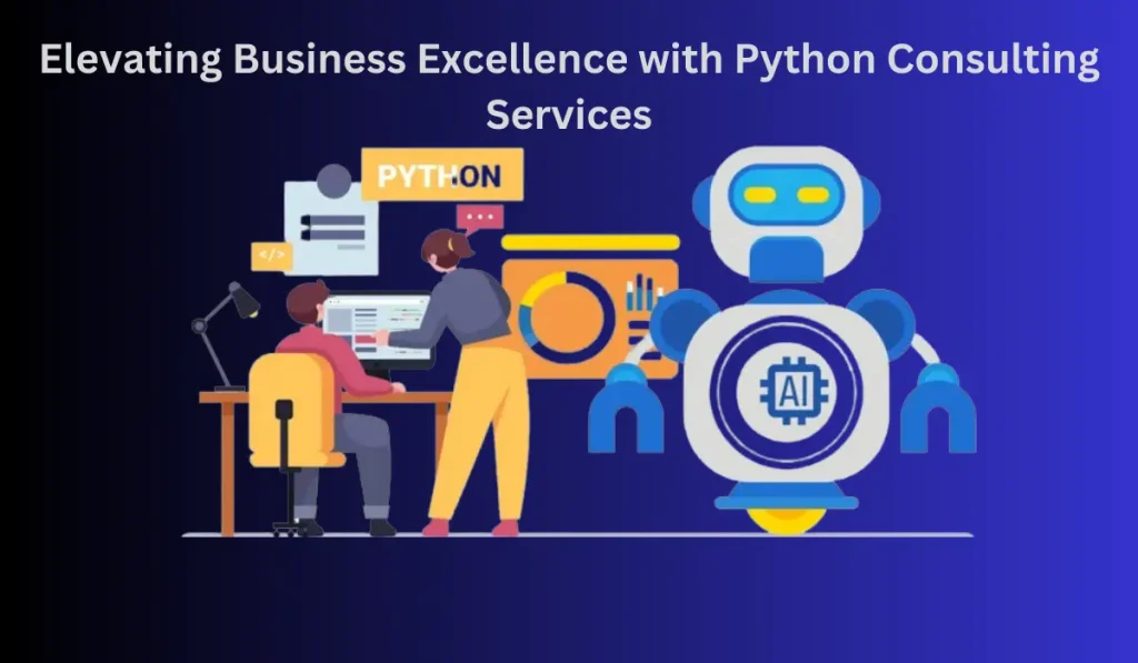 Python Consulting Services