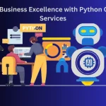 Python Consulting Services