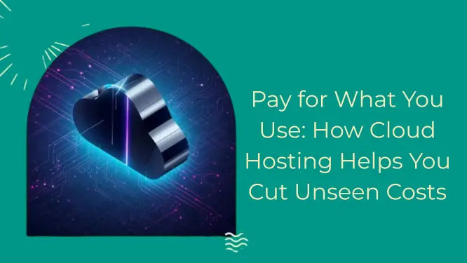 Pay for What You Use: How Cloud Hosting Helps You Cut Unseen Costs